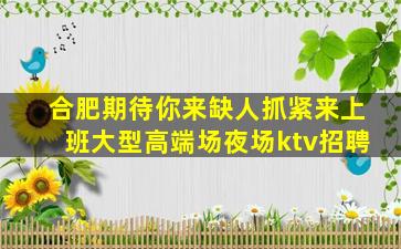 合肥期待你来缺人抓紧来上班大型高端场夜场ktv招聘